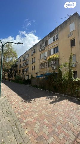 יצחק גרינבוים 36