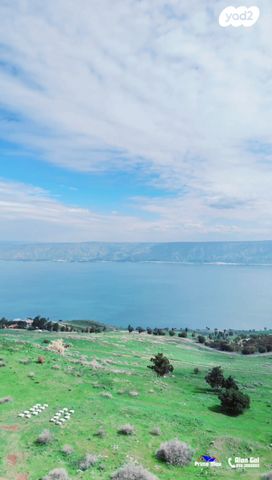 מגרשים, דרך המצוק 1, פוריה עילית