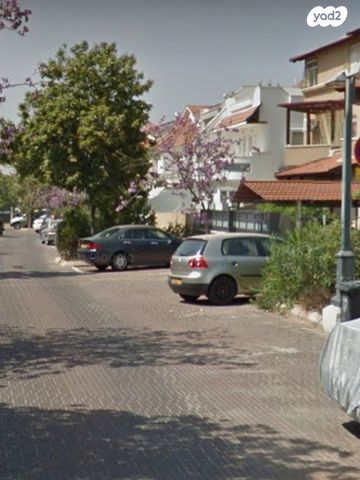 העוגן 