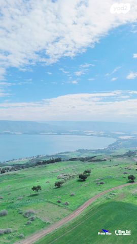 מגרשים, דרך המצוק 1, פוריה עילית