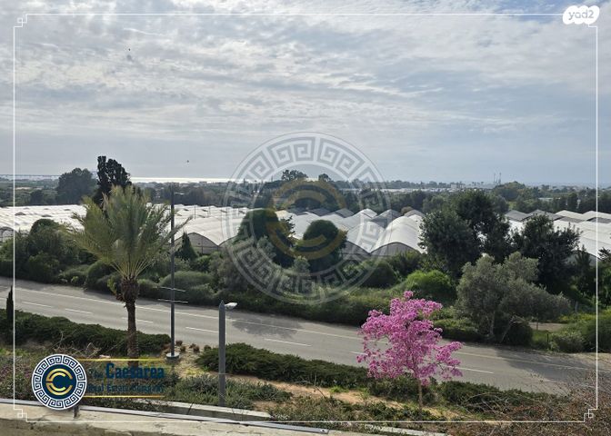 בית פרטי/ קוטג'