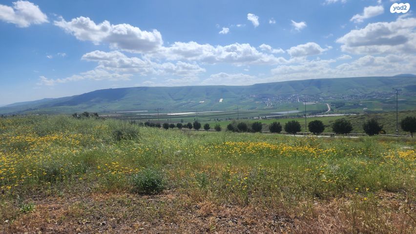 מגרשים