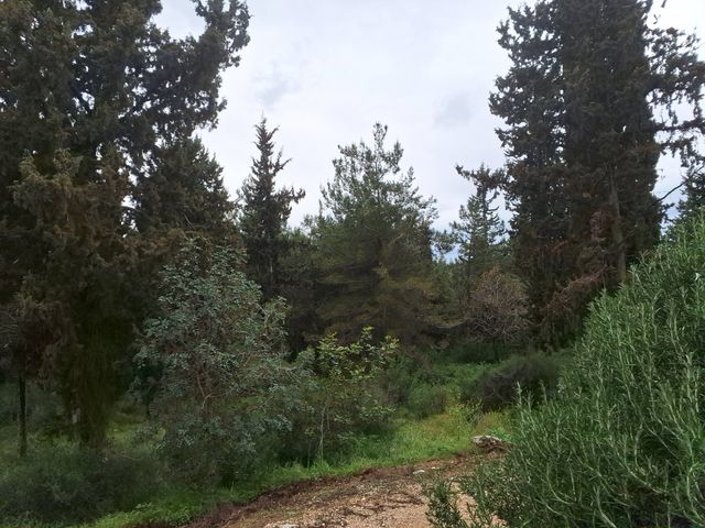 בית פרטי/ קוטג', טל אל