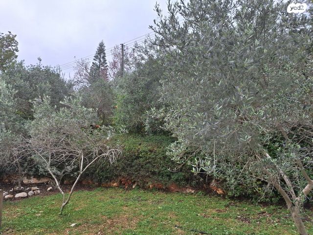 בית פרטי/ קוטג', טל אל