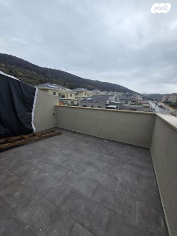 דופלקס, עץ השדה, אדמית / יערית, שלומי