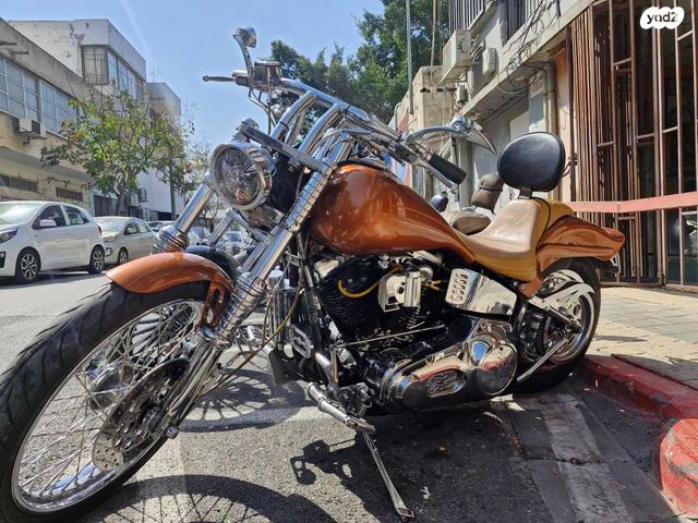 מודעת רכב הרלי דיווידסון סופטייל דיוס 1340