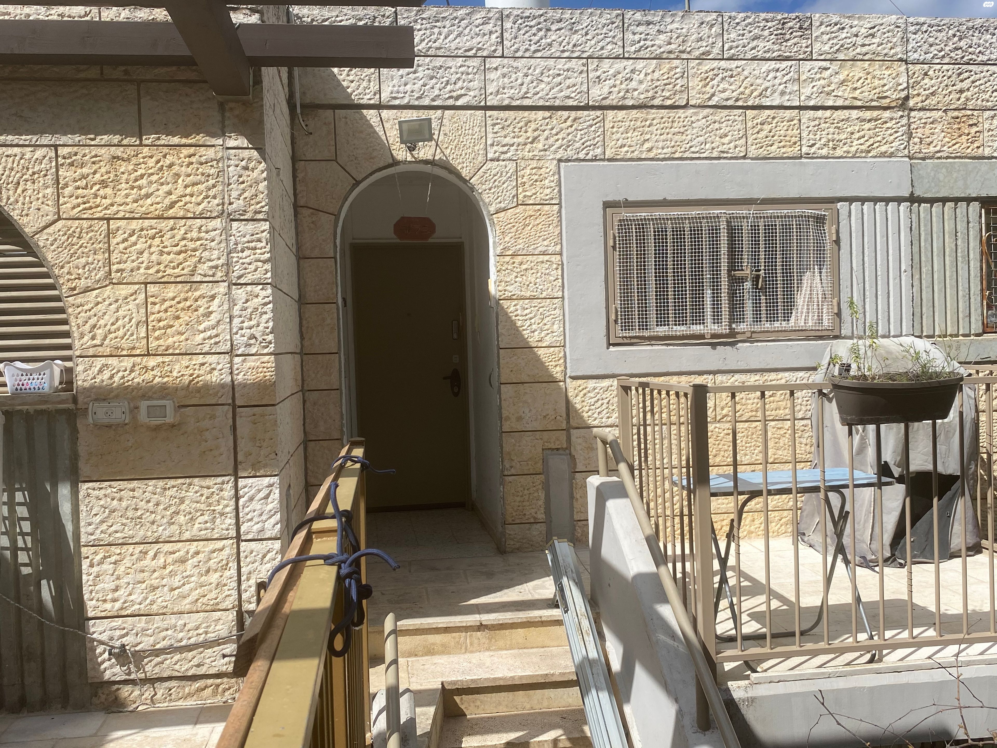 כינור דוד 8