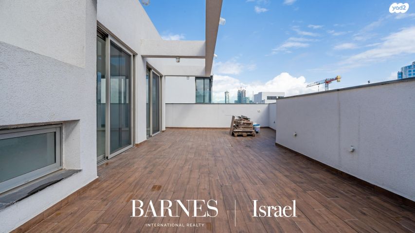 גג/ פנטהאוז, פינסקר 36, תל אביב יפו