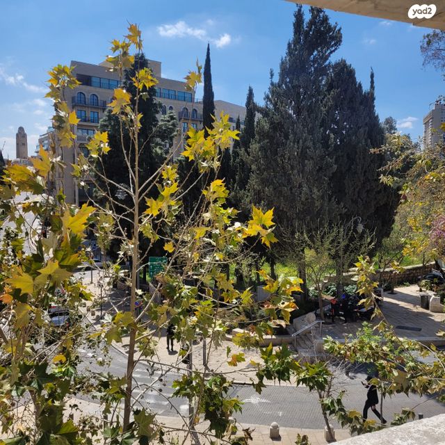 שלומציון המלכה 