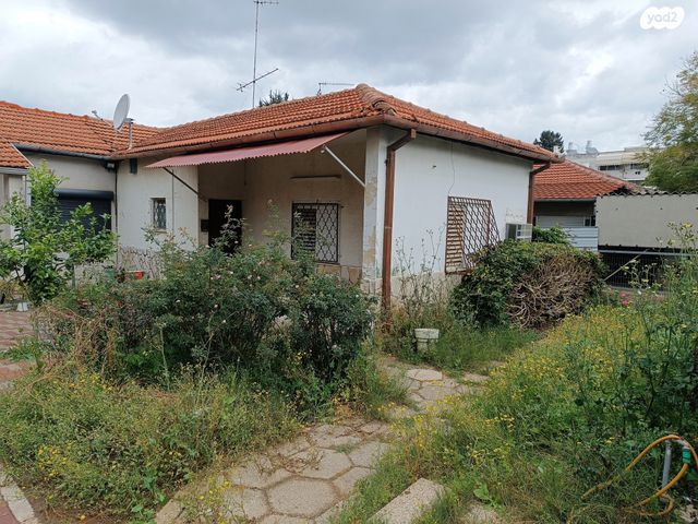 רחל הרשנזון 