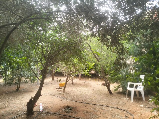 בית פרטי/ קוטג', סמטת הדובדבן 218, שקד