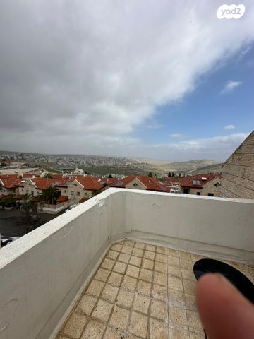 משה רחמילביץ' 