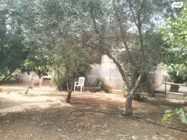 בית פרטי/ קוטג', סמטת הדובדבן 218, שקד