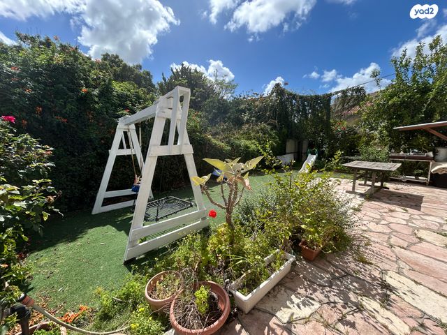 הרצליה הצעירה