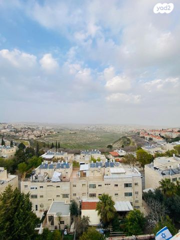 דב סדן 