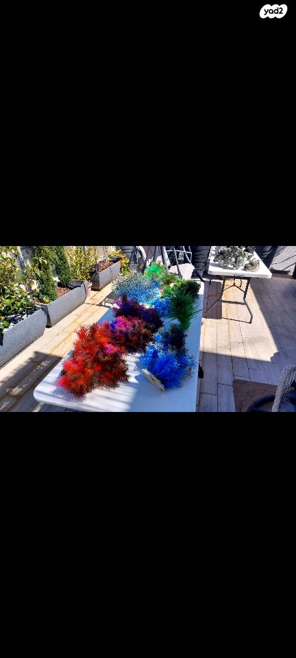 אביזרים | סלעים לציקלדים