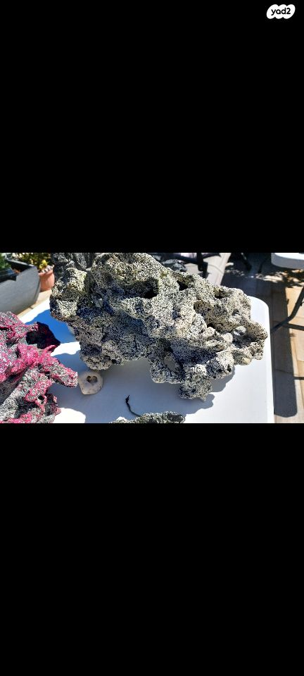 אביזרים | סלעים לציקלדים