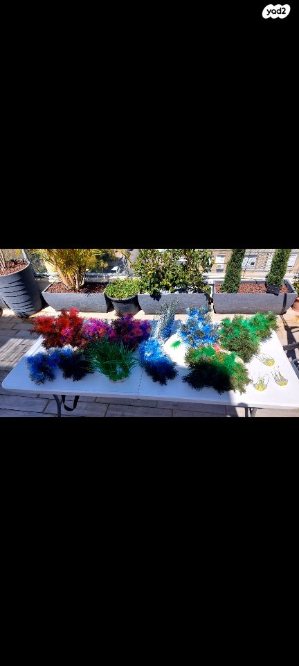 אביזרים | סלעים לציקלדים