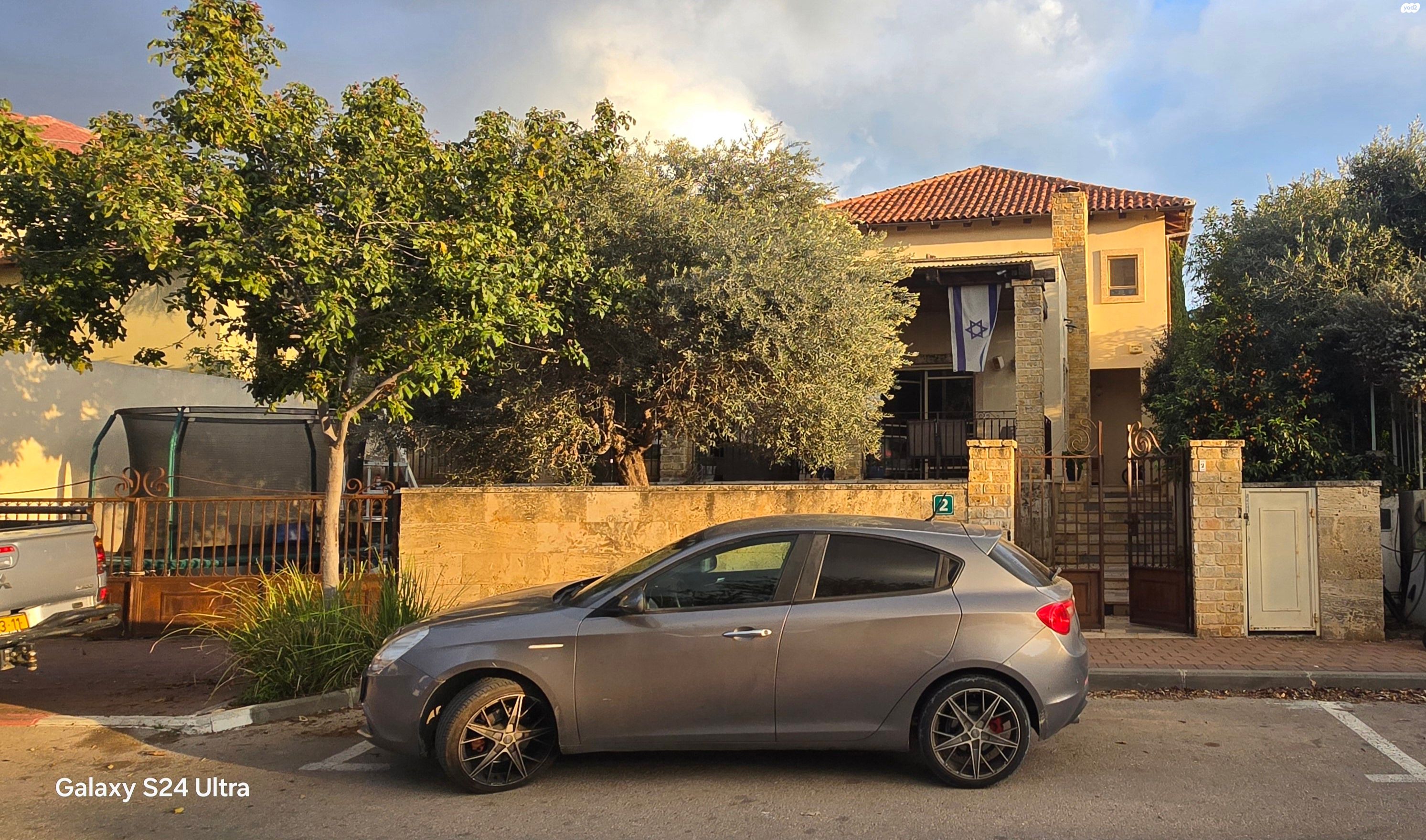 שקנאי 2