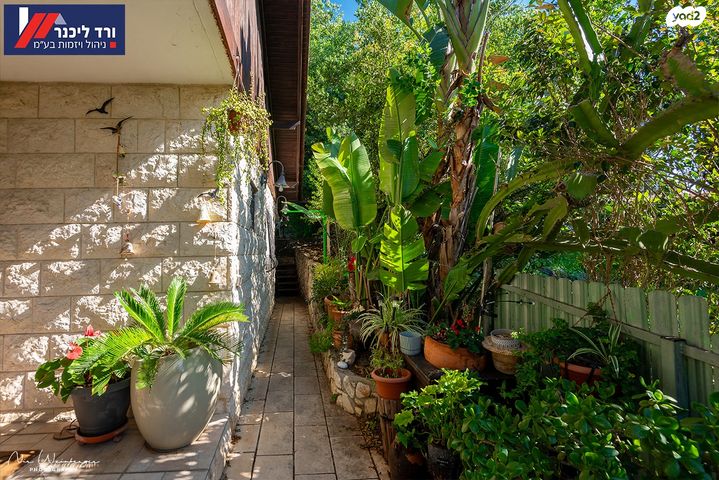 דו משפחתי, טבעון הוותיקה, קרית טבעון