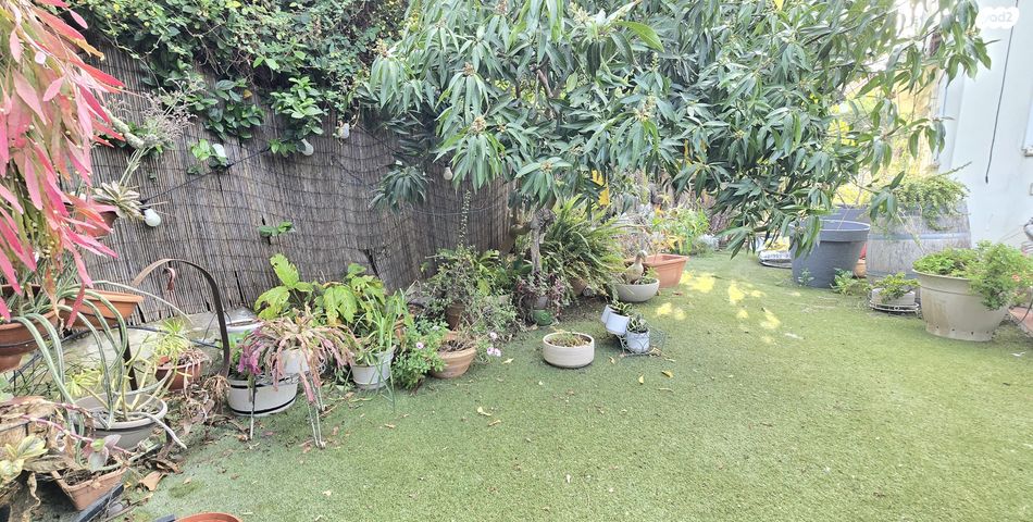 בית פרטי/ קוטג', אורנית