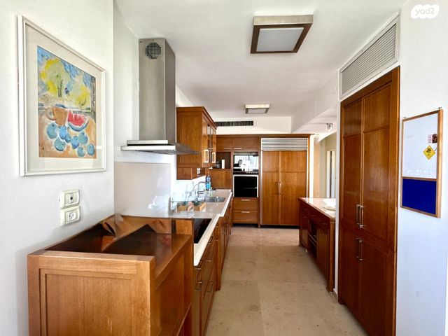 גג/ פנטהאוז, תל אביב יפו