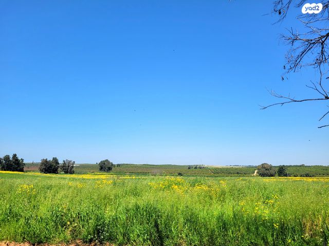 משק חקלאי/ נחלה