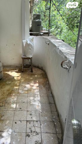 דירה, כינרת, חיפה