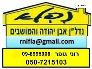 מגרשים