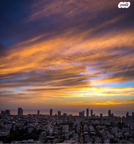 גרציאני יצחק 8