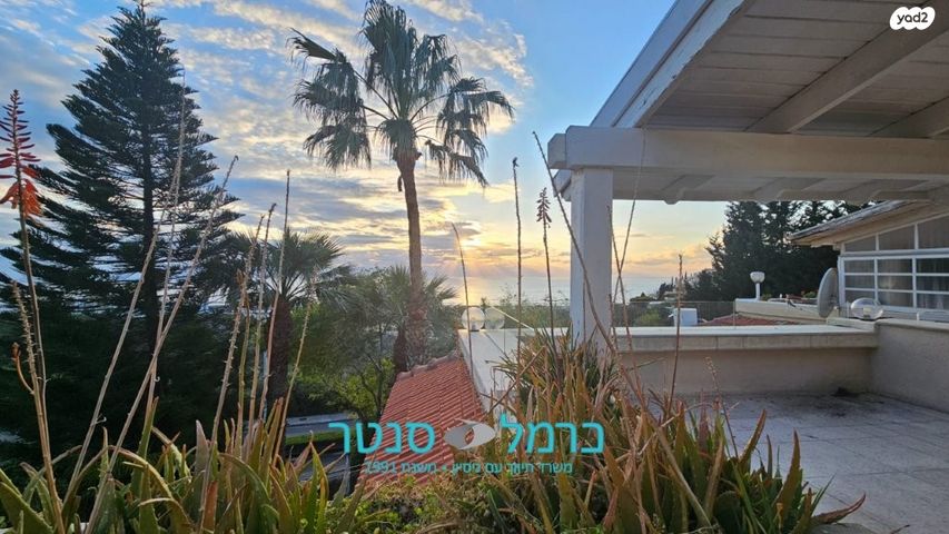 רמת אשכול