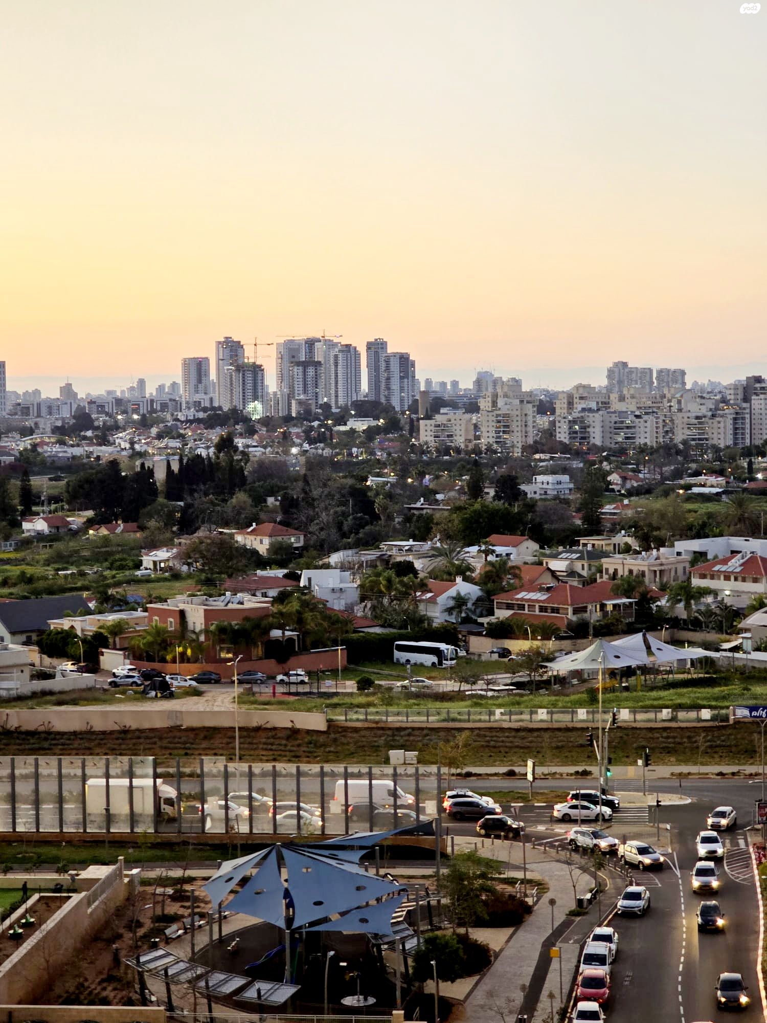 משה לוי 