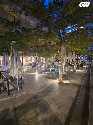 מקווה ישראל 6