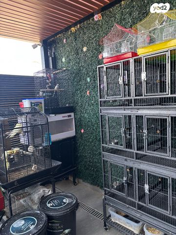 תמונת מודעה - חיות מחמד