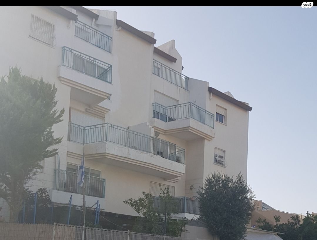 הסלע 13