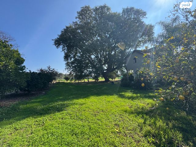 משק חקלאי/ נחלה, ציפורי