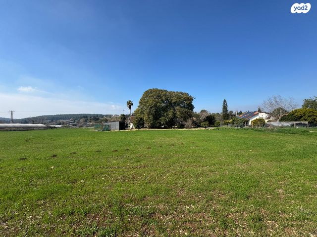 משק חקלאי/ נחלה, ציפורי