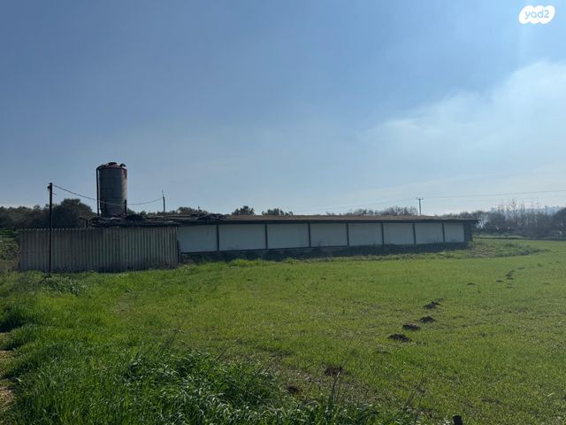 משק חקלאי/ נחלה, ציפורי