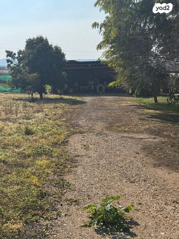 משק חקלאי/ נחלה, ציפורי