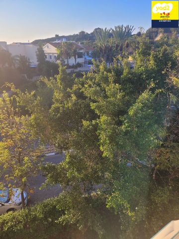 דירה, ההסתדרות, רמת בן צבי, נס ציונה