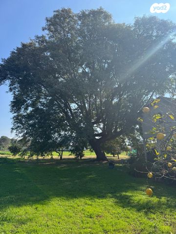 משק חקלאי/ נחלה, ציפורי