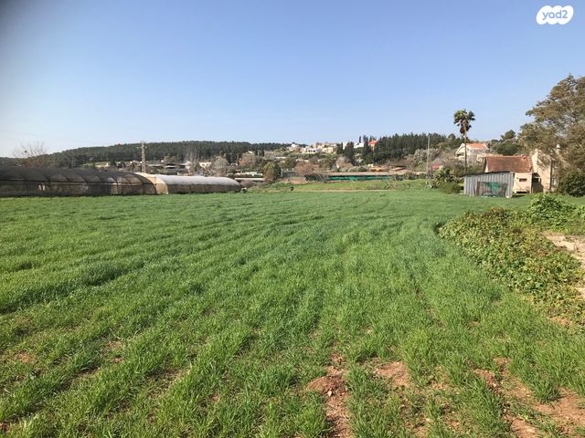 משק חקלאי/ נחלה