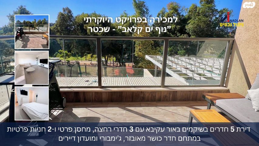 השיקמים 