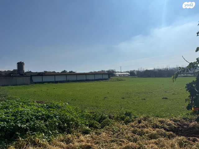 משק חקלאי/ נחלה, ציפורי