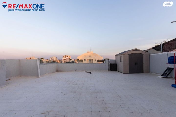 חבצלת השרון 