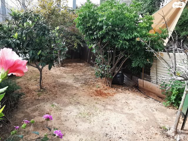 דירת גן, שלום אש, כפר סבא