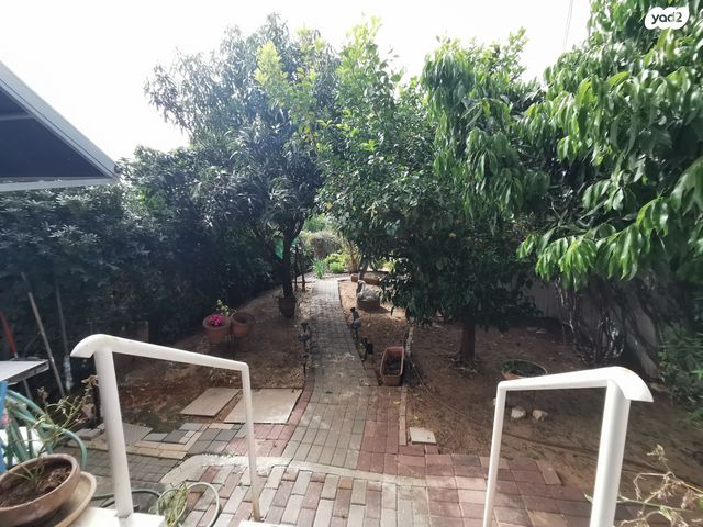 דירת גן, שלום אש, כפר סבא