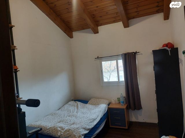 כללי, קצרין