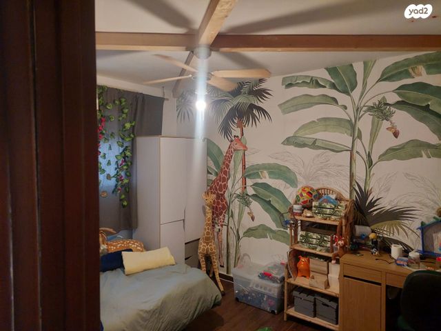 כללי, קצרין