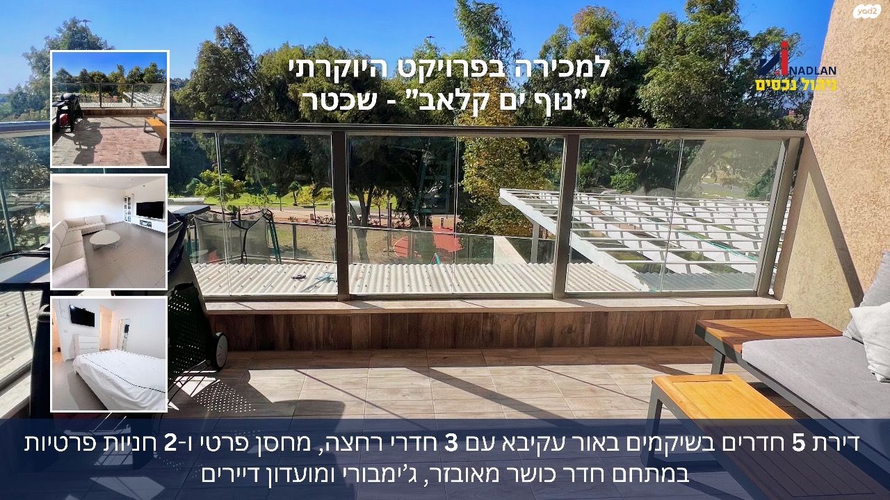השיקמים 
